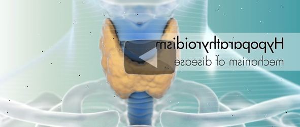 Hypoparathyroidism. Ervervet hypoparathyroidism. Hypoparathyroidism. Ervervet hypoparathyroidism.
