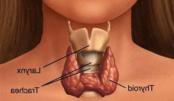 Forberedelser til din avtale. Hypotyreose hos barn og tenåringer. Forberedelser til din avtale. Hypotyreose hos barn og tenåringer.