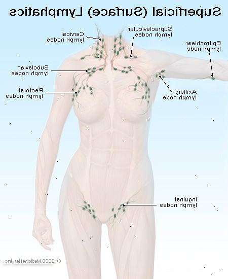 Hovne lymfeknuter. Forstyrrelser i immunsystemet. Hovne lymfeknuter. Forstyrrelser i immunsystemet.