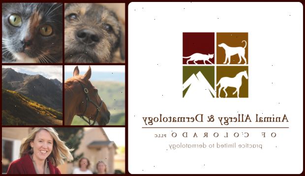 Pet allergi. Skriv ned eventuelle symptomer du opplever. Pet allergi. Skriv ned eventuelle symptomer du opplever.