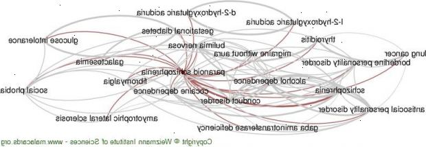 Paranoid schizofreni. Hørselshallusinasjoner. Paranoid schizofreni. Hørselshallusinasjoner.