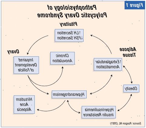 Forberedelser til din avtale. Lavgradig betennelse. Forberedelser til din avtale. Lavgradig betennelse.