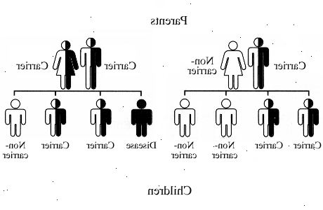 Fenylketonuri (PKU). Be et familiemedlem eller en venn til å komme med deg. Fenylketonuri (PKU). Be et familiemedlem eller en venn til å komme med deg.