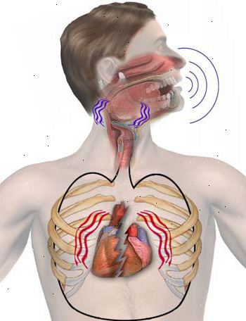 Forberedelser til din avtale. Å ha nasal problemer. Forberedelser til din avtale. Å ha nasal problemer.