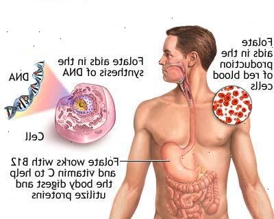 Forberedelser til din avtale. Vitamin B-12 mangel anemi (pernisiøs anemi). Forberedelser til din avtale. Vitamin B-12 mangel anemi (pernisiøs anemi).