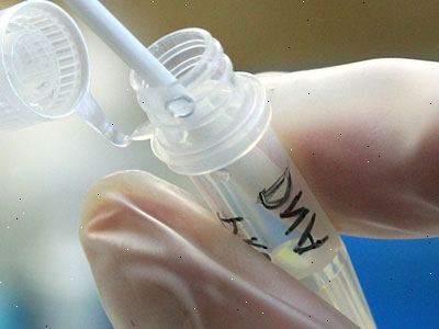 Preimplantation testing. Chorionic villus prøvetaking. Preimplantation testing. Chorionic villus prøvetaking.