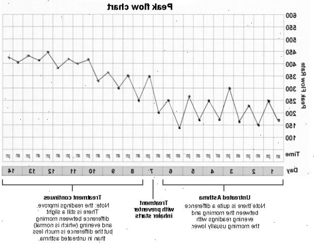 Peak flow meter. Bruke peak flow meter. Peak flow meter. Bruke peak flow meter.