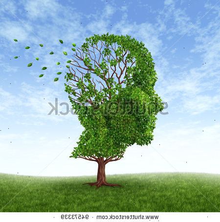 Alzheimers sykdom. Mindre hodeskader eller skade. Alzheimers sykdom. Mindre hodeskader eller skade.