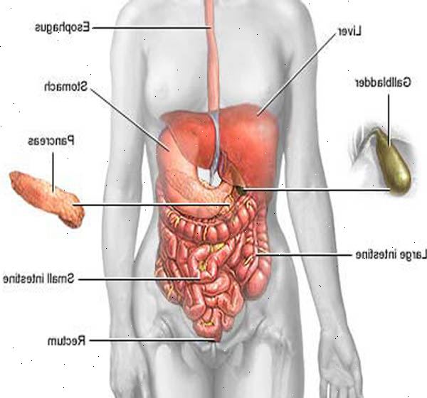 Forberedelser til din avtale. Komplikasjoner av abdominal kirurgi, inkludert gastric bypass. Forberedelser til din avtale. Komplikasjoner av abdominal kirurgi, inkludert gastric bypass.