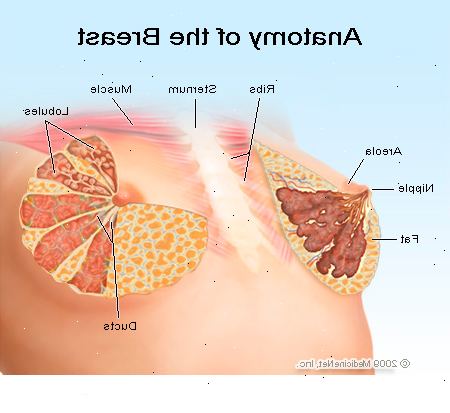 Brystsmerter. Reproduktive hormoner. Brystsmerter. Reproduktive hormoner.