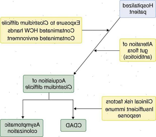 C. difficile. Mild til moderat infeksjon. C. difficile. Mild til moderat infeksjon.