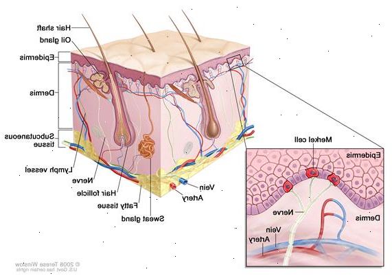 Forberedelser til din avtale. En svekket immunsystem. Forberedelser til din avtale. En svekket immunsystem.