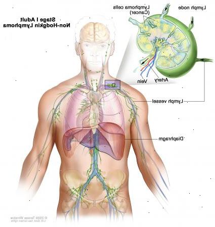 Forberedelser til din avtale. Medisiner som undertrykker immunsystemet ditt. Forberedelser til din avtale. Medisiner som undertrykker immunsystemet ditt.