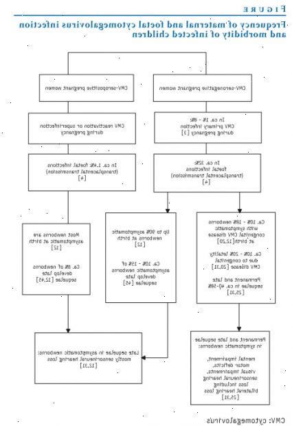 Cytomegalovirus (CMV)-infeksjon. Symptomer hos personer med nedsatt immunforsvar. Cytomegalovirus (CMV)-infeksjon. Symptomer hos personer med nedsatt immunforsvar.