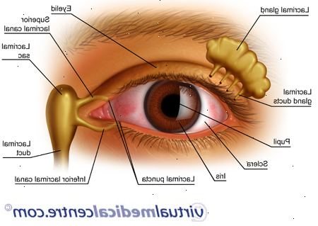 Forberedelser til din avtale. Er en postmenopausal kvinne. Forberedelser til din avtale. Er en postmenopausal kvinne.