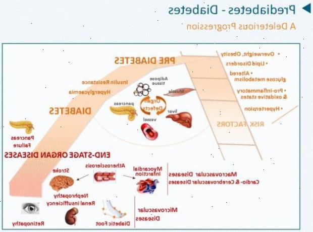 Forberedelser til din avtale. Hvis du allerede har blitt diagnostisert med diabetes. Forberedelser til din avtale. Hvis du allerede har blitt diagnostisert med diabetes.