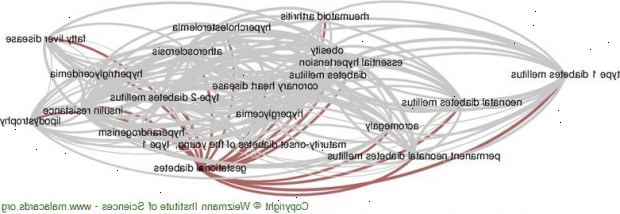 Svangerskapsdiabetes. Familie eller personlige helse historie. Svangerskapsdiabetes. Familie eller personlige helse historie.