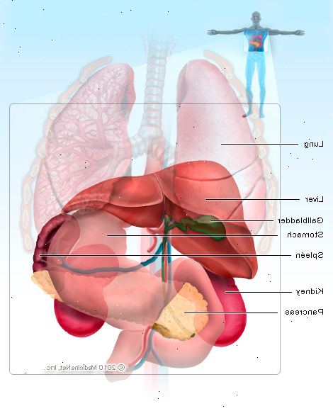 Forstørret milt (splenomegali). Ultralyd eller CT (CT) scan. Forstørret milt (splenomegali). Ultralyd eller CT (CT) scan.